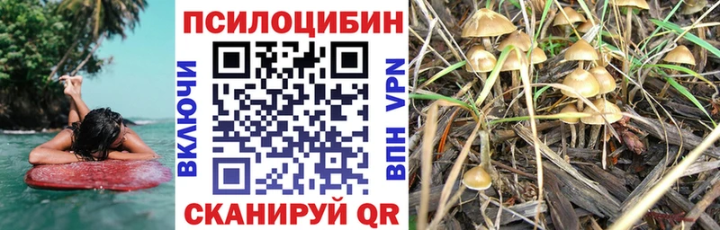 Псилоцибиновые грибы MAGIC MUSHROOMS  Нижний Ломов 